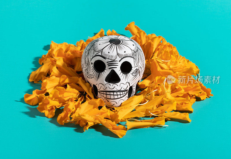 头骨，头骨和cempasúchil的Dia de Muertos的花瓣在蓝绿色的背景